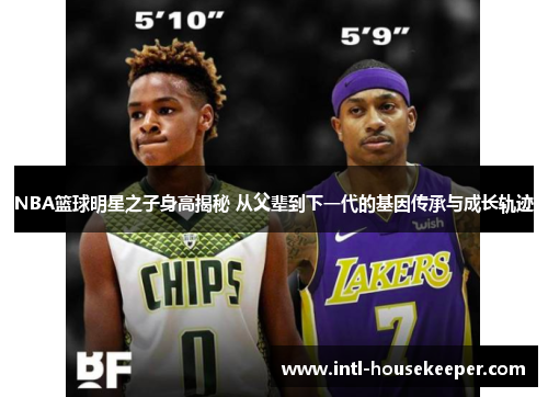 NBA篮球明星之子身高揭秘 从父辈到下一代的基因传承与成长轨迹