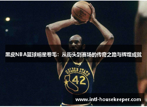 黑皮NBA篮球明星卷毛：从街头到赛场的传奇之路与辉煌成就
